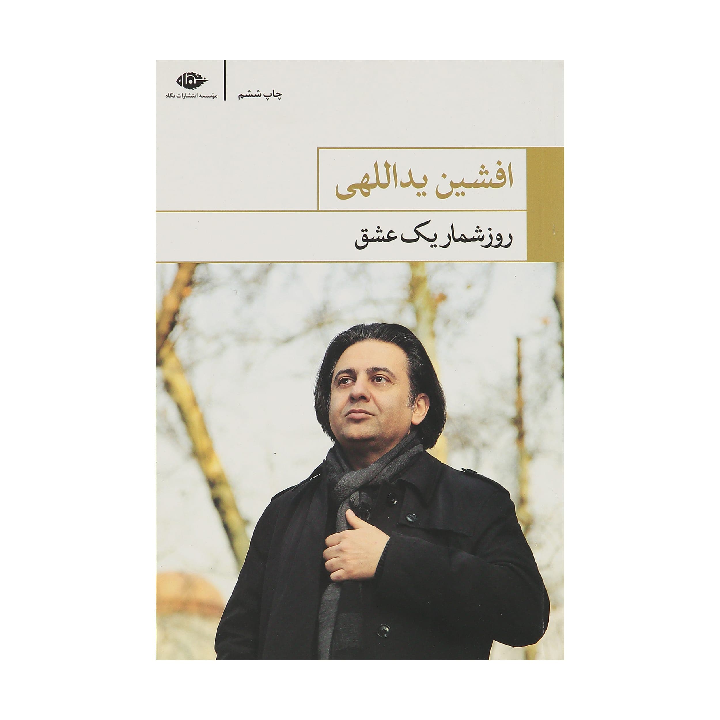 کتاب روزشمار یک عشق اثر افشین یداللهی