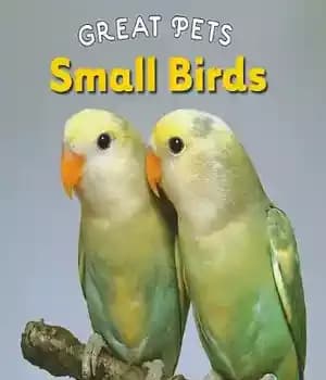 دانلود کتاب Small Birds (Great Pets