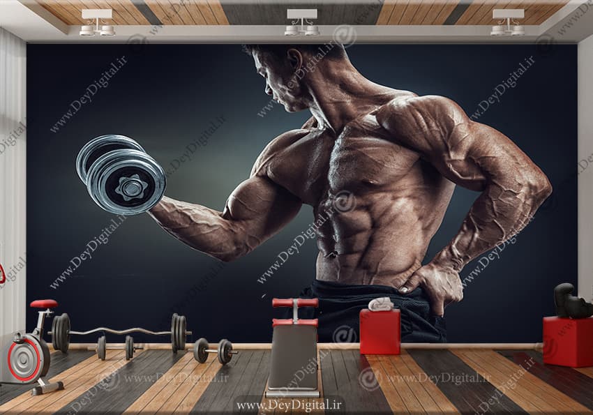 وستر حرفه ای بدنسازی BA-7525