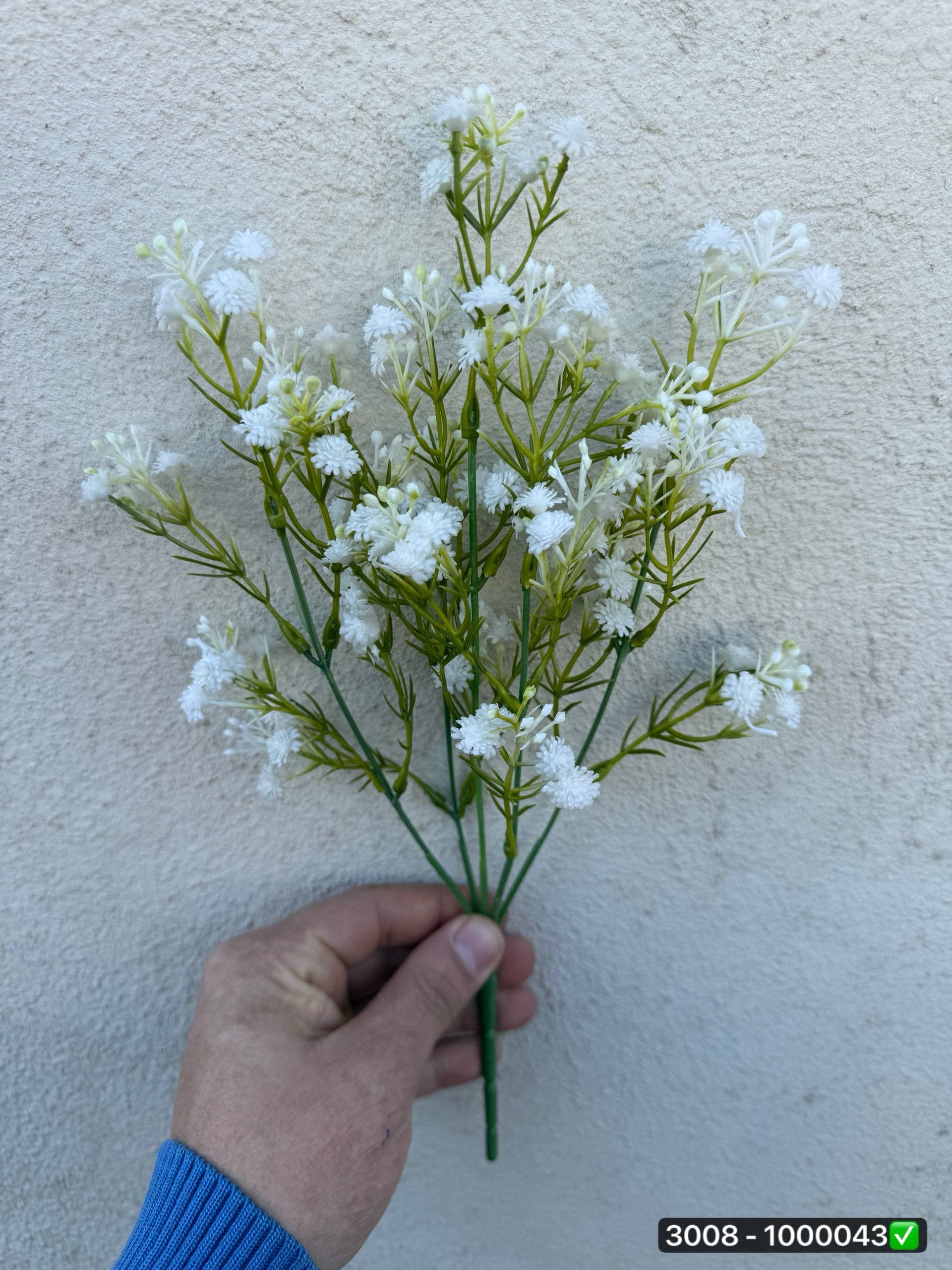 بوته شکوفه عروس