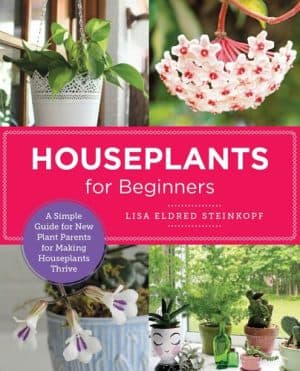 دانلود کتاب Houseplants for Beginners : A Simple Guide for New Plant Parents for Making Houseplants Thrive