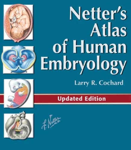 و دانلود نسخه کامل کتاب Netter’s Atlas of Human Embryology E-Book: Updated Edition (Netter Basic Science) 1st Edition