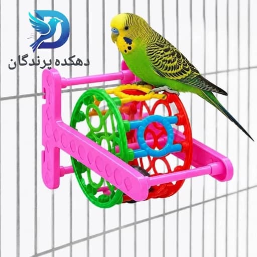 اسباب بازی طوطی مدل چرخ فلک بازی پرنده(درجه یک)طوطی برزیلی،مرغ عشق،گرینچیک،عروس هلندی و... — تصویر ۲
