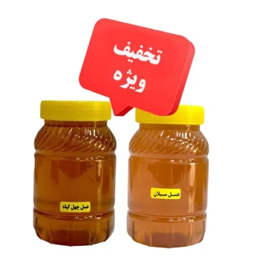 عسل صبحانه ( یک کیلو عسل سبلان و یک کیلو عسل چهل گیاه) ارسال رایگان تخفیف ویژه — تصویر ۴