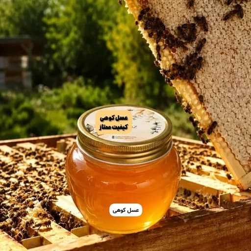 عسل کوهی برداشت کوه های دالامپر کیفیت ممتاز (نیم کیلویی)