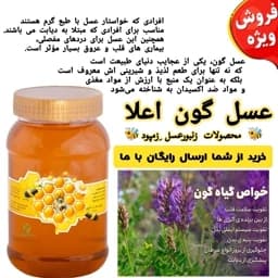 عسل گون طبیعی خالص 1 کیلویی(مستقیم از زنبوردار)ارسال رایگان — تصویر ۳