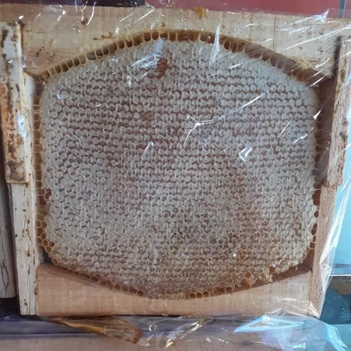 عسل وحشی چهل گیاه(برداشت از ارتفاعات قله سبلان) — تصویر ۲