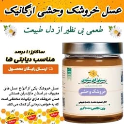 عسل خروشک وحشی ارگانیک ساکارز1درصد(مستقیم از زنبوردار)ارسال رایگان — تصویر ۳
