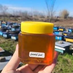 عسل کوهستان ساکارز زیر 3 درصد (نیم کیلویی) — تصویر ۳