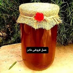 عسل طبیعی اکالیپتوس(عسل فروشی مادر ) — تصویر ۳