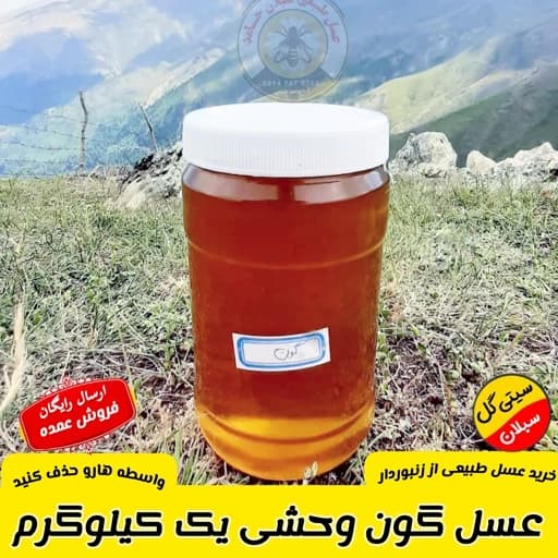 عسل گون در حد وحشی کردستان 1 کیلویی(مستقیم از زنبوردار)ارسال رایگان