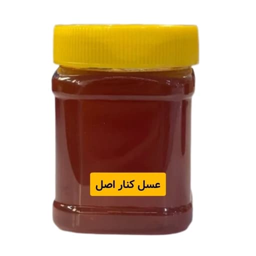عسل طبیعی اصل کنار (نیم کیلویی)خرید از زنبوردار — تصویر ۲