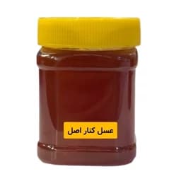 عسل طبیعی اصل کنار (نیم کیلویی)خرید از زنبوردار — تصویر ۳