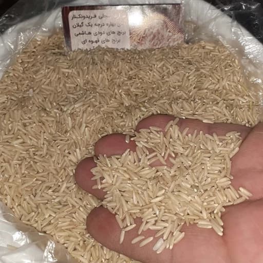 برنج قهوه ای فریدونکنار ( 5 کیلویی) رژیمی، طارم محلی خالص و ارسال رایگان