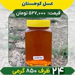 عسل کوهستان ساکارز 3 درصد عمده (24 تا ظرف 850 گرمی) — تصویر ۳