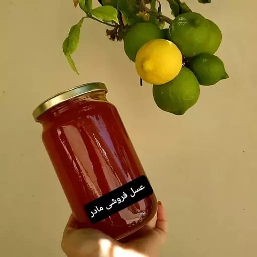 عسل طبیعی مرکبات(عسل فروشی مادر )