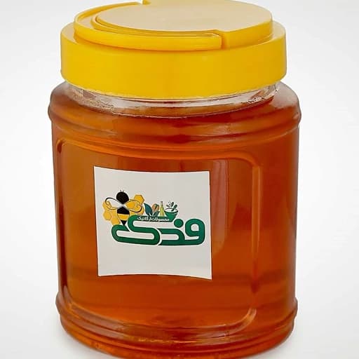 عسل طبیعی رس بسته 5ستاره یک کیلوگرم فدک (رس شده درمانی) — تصویر ۲