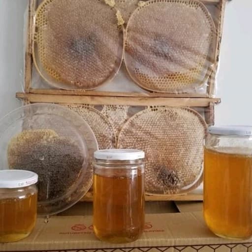 عسل زول دیابتی شهد 1کیلویی ساکارز 1 (عسل فروشی خزر)