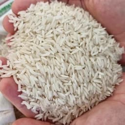 برنج هاشمی آستانه اشرفیه درجه یک 10 کیلویی — تصویر ۵