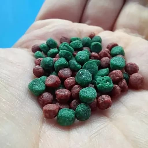 غذای روآبی رنگدهی ماهیان آکواریوم 100 گرم (4 میلی سبز-قرمز- گوشت خواران، گلدفیش و...) — تصویر ۴