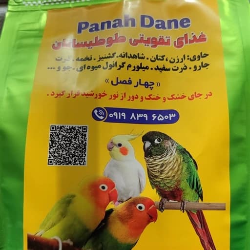 غذای عروس هلندی و طوطی سانان ریز جثه — تصویر ۴