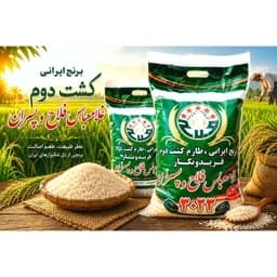 برنج طارم محلی کشت دوم غلام عباس فلاح وپسران با ارسال رایگان (10کیلوگرم) — تصویر ۳