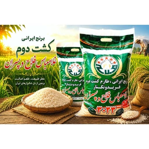 برنج طارم محلی کشت دوم غلام عباس فلاح وپسران با ارسال رایگان (10کیلوگرم) — تصویر ۴