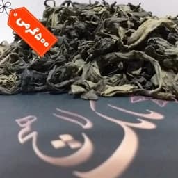 چای سبز لاهیجان درجه یک قلم بدون ساقه فقط برگ 500 گرمی چای ایرانی چای سبز شمال — تصویر ۳