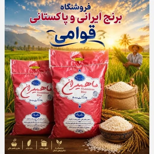 برنج ایرانی سرلاشه طارم کشت دوم ماهمیران باارسال رایگان (10کیلویی) — تصویر ۲