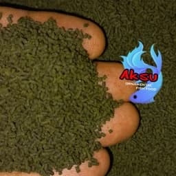 غذای ماهی جلبکی 1.1 میل بیومار زیرابی اسپیرولینا 25 درصد ابشیرین و شور یک کیلویی — تصویر ۳