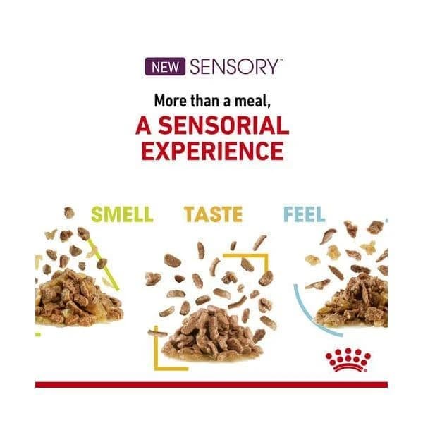 پوچ گربه رویال کنین مدل SENSORY FEEL وزن 85 گرم — تصویر ۴