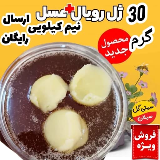 ژل رویال اصل ایرانی(30گرم ژل در نیم کیلوعسل طبیعی کردستان)ارسال رایگان — تصویر ۲