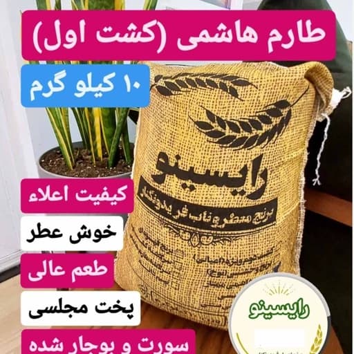 برنج طارم هاشمی اعلاء (کشت اول) فریدونکنار-(10 کیلویی) — تصویر ۲