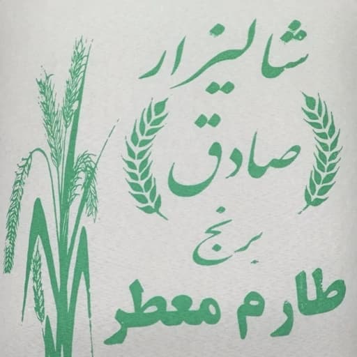 برنج طارم آستانه اشرفیه — تصویر ۲