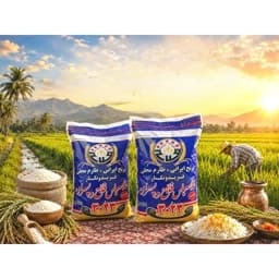 برنج طارم محلی کشت اول غلامعباس فلاح وپسران باارسال رایگان به سراسر ایران (10کیلویی) — تصویر ۳