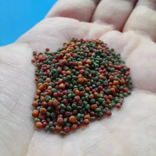 غذای رنگدهی ماهیان آکواریوم 100 گرم (1 میلی رنگی) — تصویر ۲