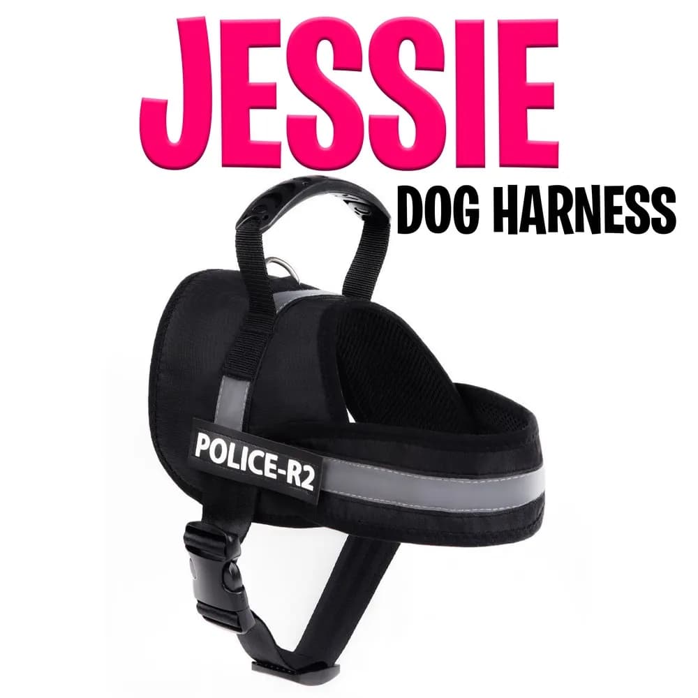 قلاده پلیس سگ مدل Jessie سایز L — تصویر ۷