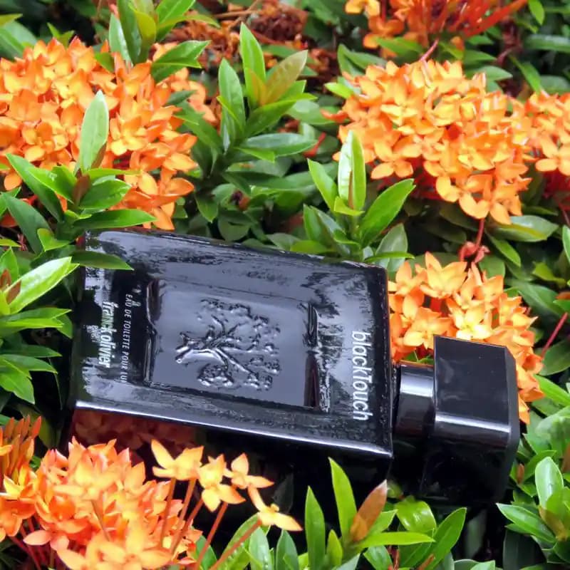 عطر ادکلن فرانک الیور بلک تاچ | Franck Olivier Black Touch(اورجینال) — تصویر ۳