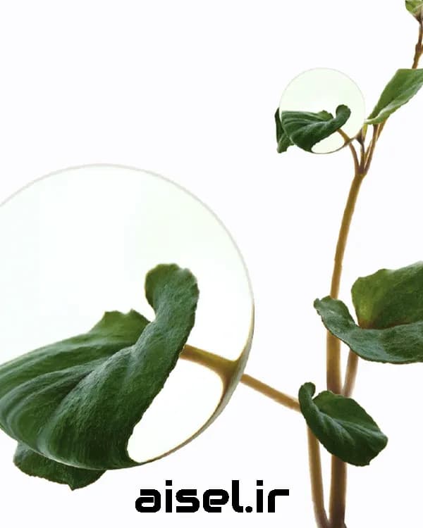 کرم مرطوب کننده و تسکین دهنده آنوا مدل HeartLeaf 70% با حجم 50 میلی لیتر — تصویر ۵