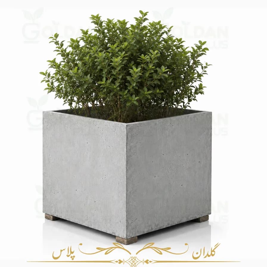 گلدان بتنی مکعبی خام مینیمال سایز 50 — تصویر ۲