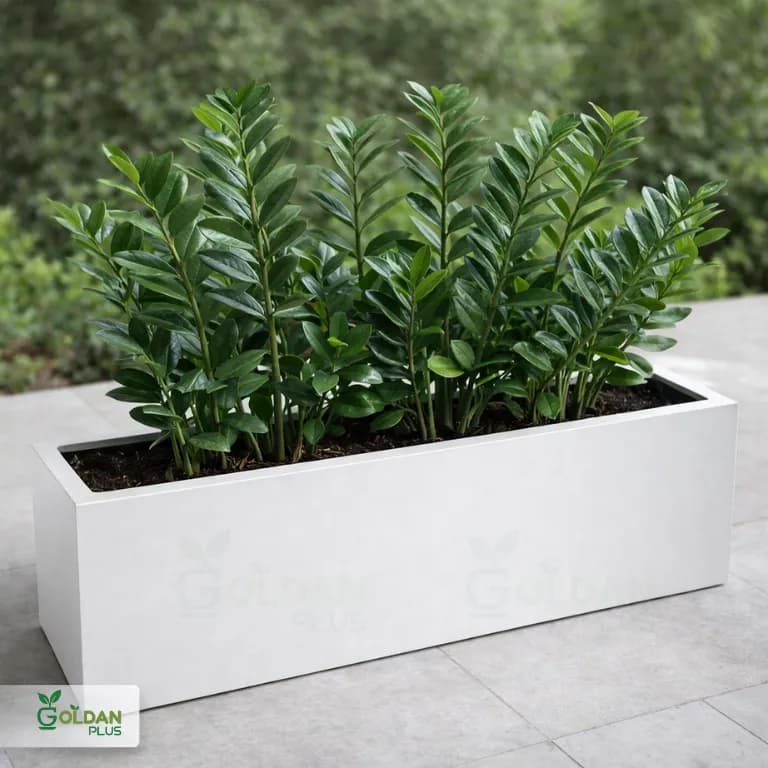 فلاورباکس مستطیل فایبرگلاس 100*30 — تصویر ۵