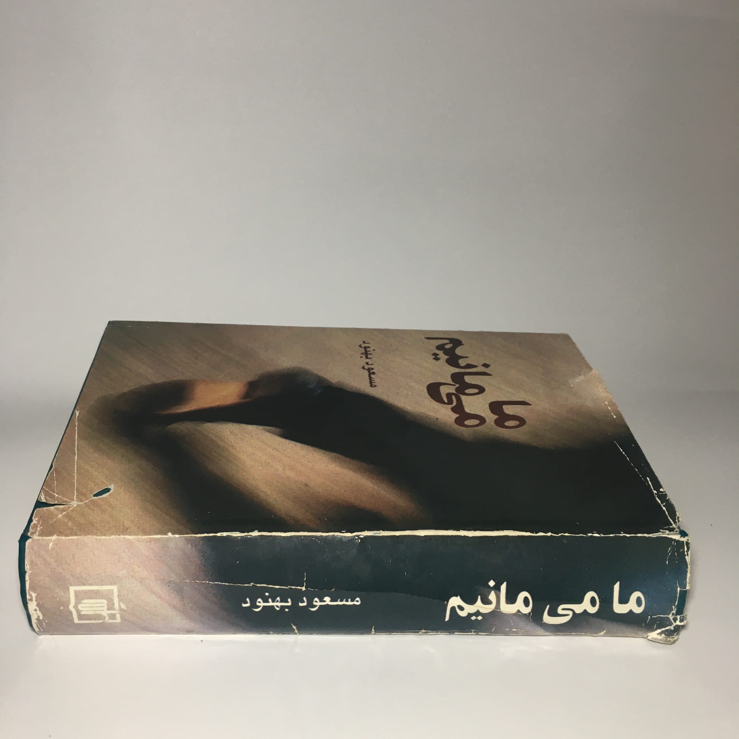 ما می مانیم اثر مسعود بهنود — تصویر ۳