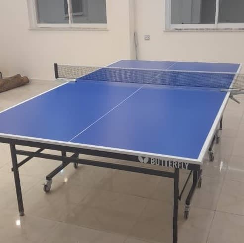 میز پینگ پنگ اکونومی