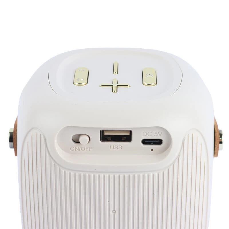 اسپیکر بلوتوثی گریت نایس GTS-1679 — تصویر ۵