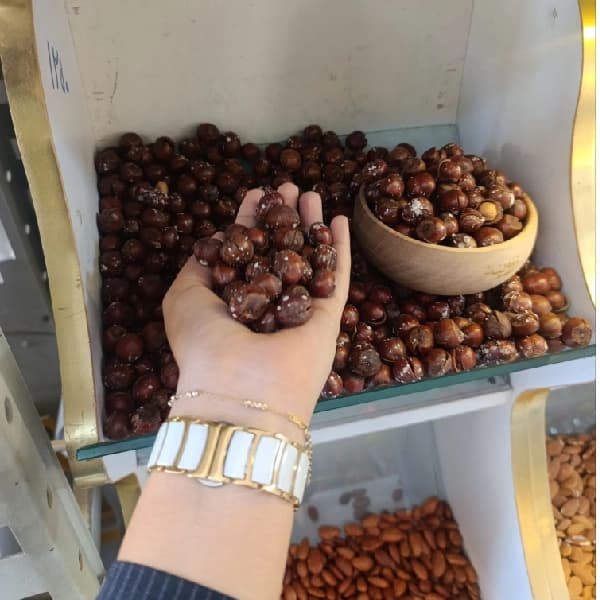 فندق با پوست نمکی — تصویر ۳