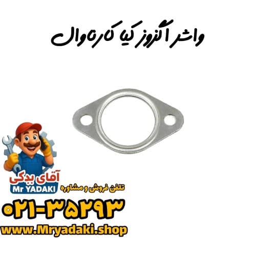 واشر اگزوز کیا کارناوال — تصویر ۳