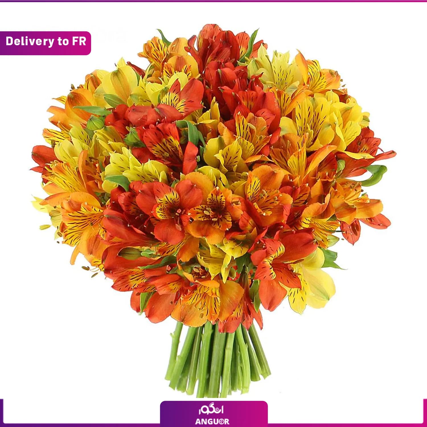 Flamboyant Alstroemerias (Delivery to France) — تصویر ۲