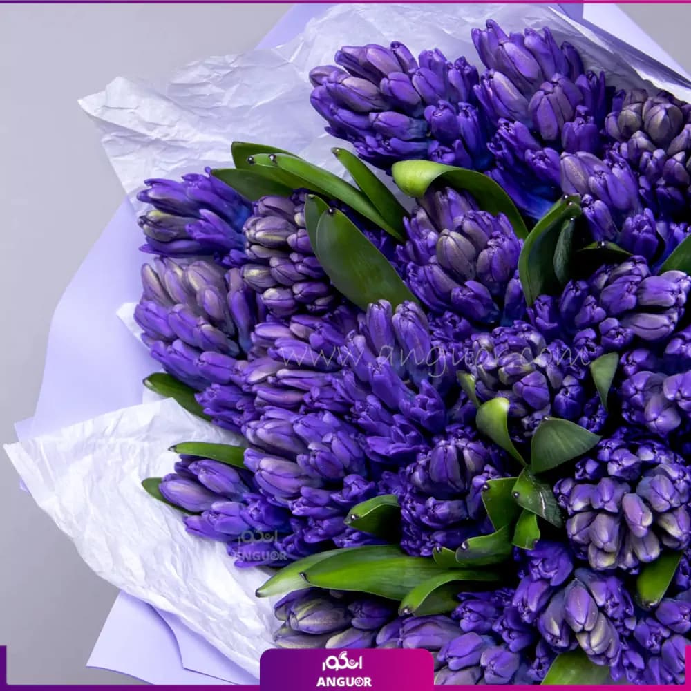 دسته گل سنبل بنفش 21 عددی — تصویر ۳