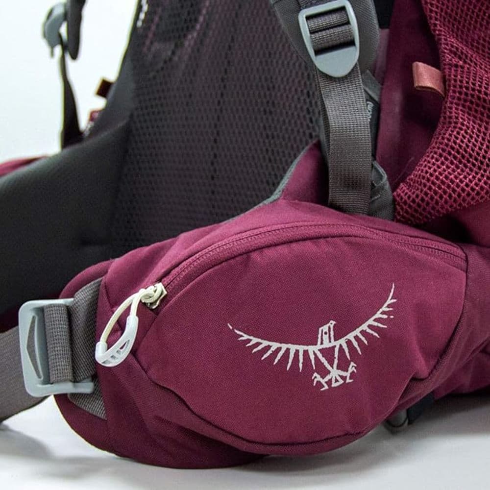 کوله پشتی زنانه آسپری 50 لیتر مدل OSPREY RENN 50L — تصویر ۵