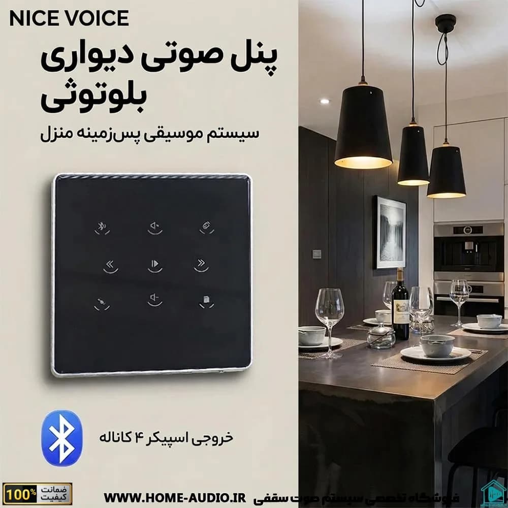 آمپلی فایر دیواری نایس ویس مدل E